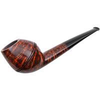 Tom Eltang Smooth Rhodesian