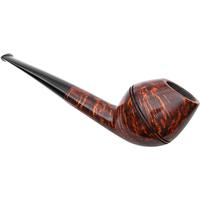 Tom Eltang Smooth Rhodesian
