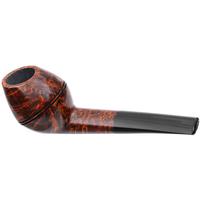 Tom Eltang Smooth Rhodesian