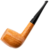 Fresh Claudio Cavicchi